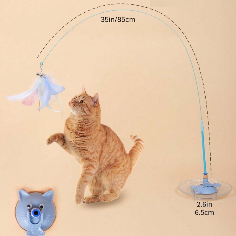 MeowMastery Toy