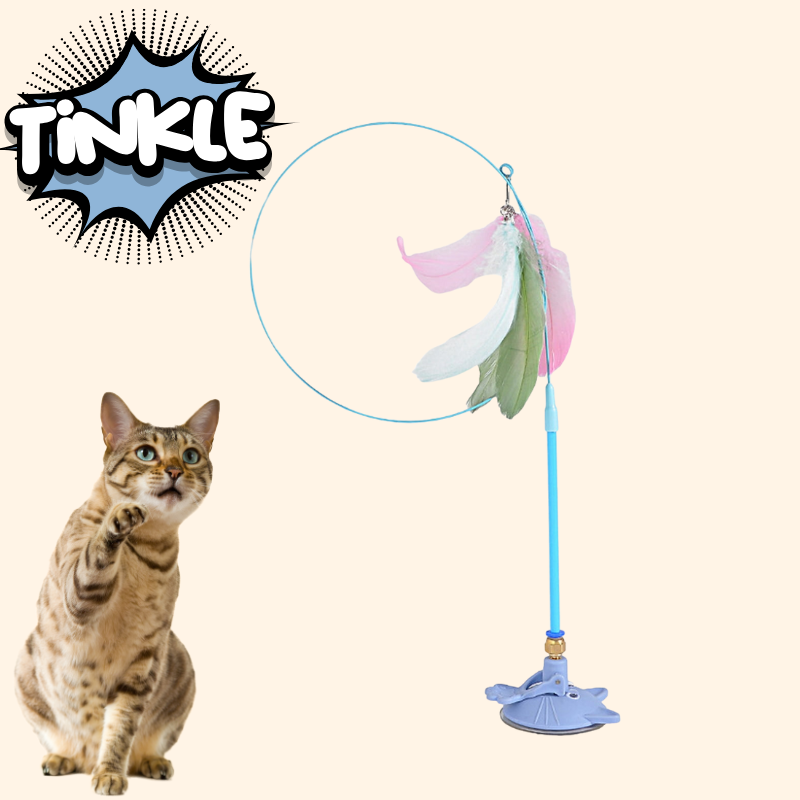 MeowMastery Toy