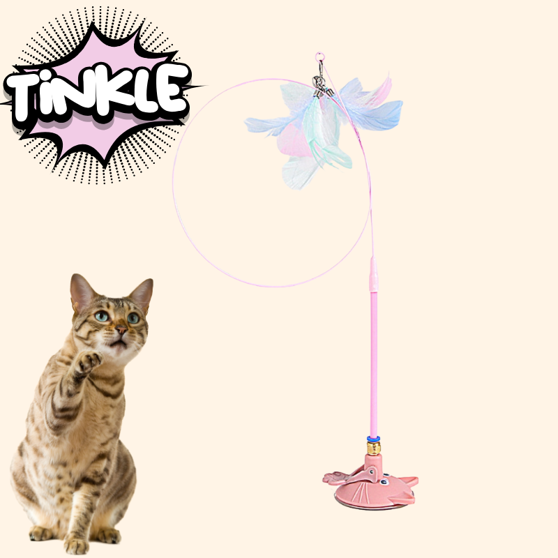 MeowMastery Toy