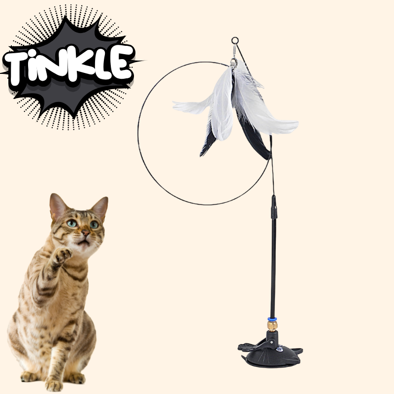 MeowMastery Toy