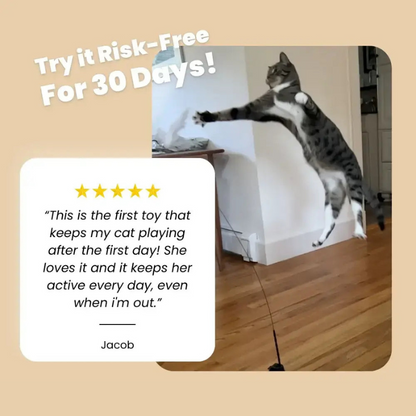 MeowMastery Toy